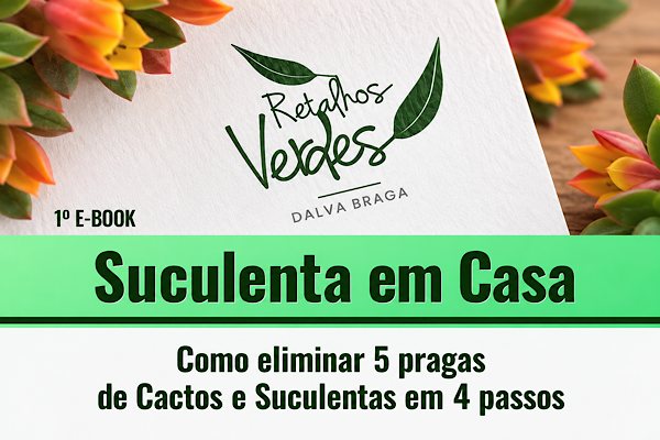 Capa do e-book Suculenta em Casa sobre como eliminar cinco pragas de cactos e suculentas em quatro passos.