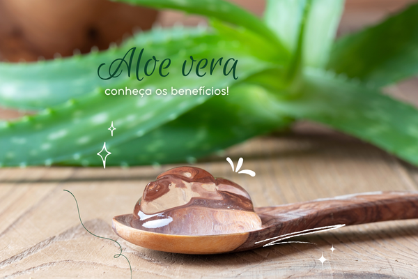 Babosa: o poder regenerativo da suculenta que carrega cura, história e ciência