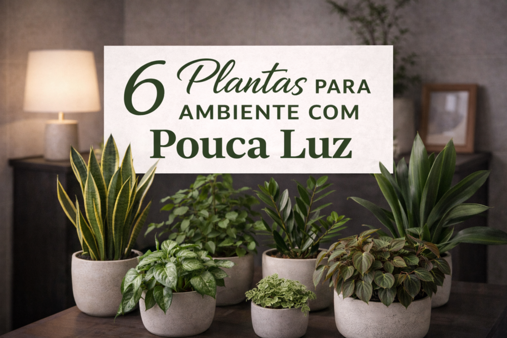 Plantas para pouca luz: espécies que realmente funcionam dentro de casa ...