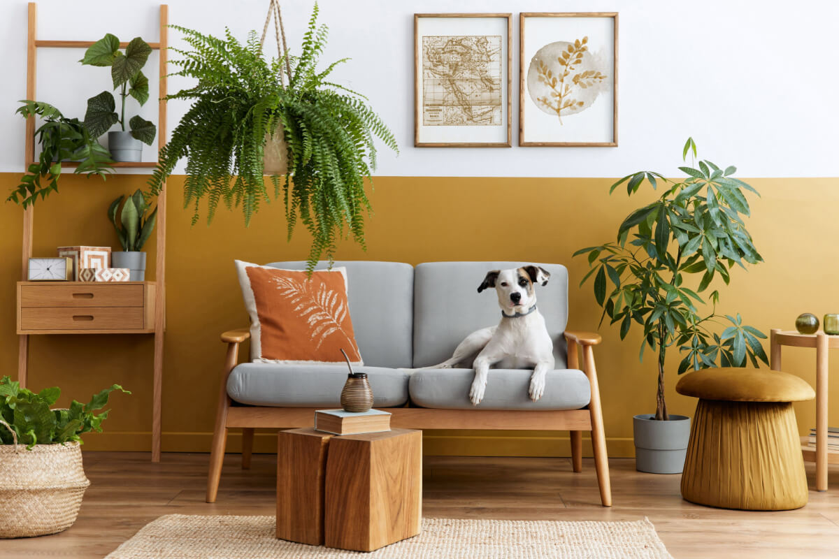 Sala de estar em estilo moderno com sofá cinza de madeira, almofada laranja, mesas de cubo de madeira e um cachorro pequeno sentado no sofá, cercada por plantas e decoração aconchegante.